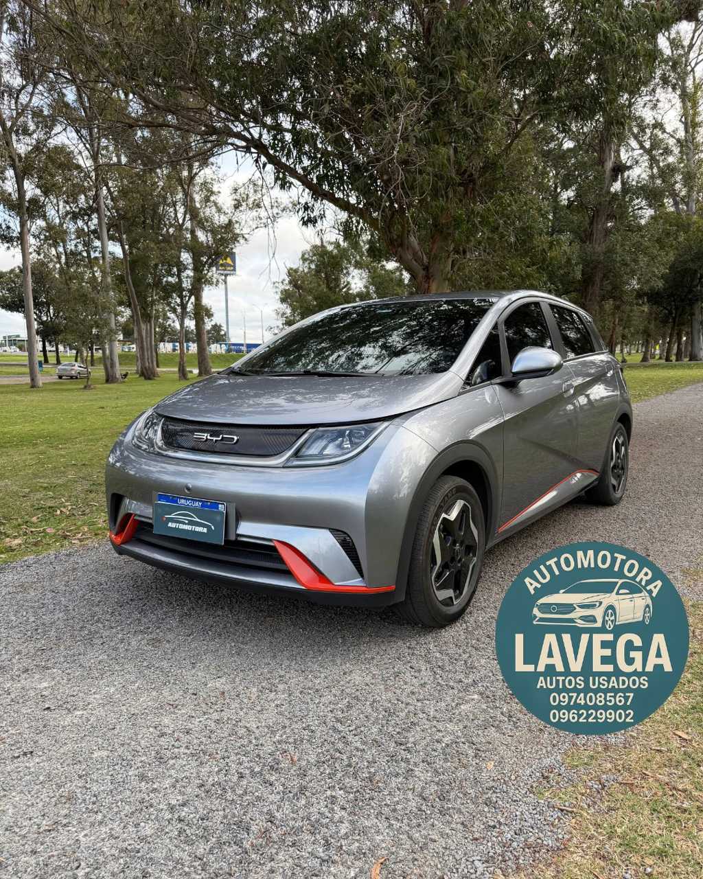 BYD Dolphin de Automotora Lavega